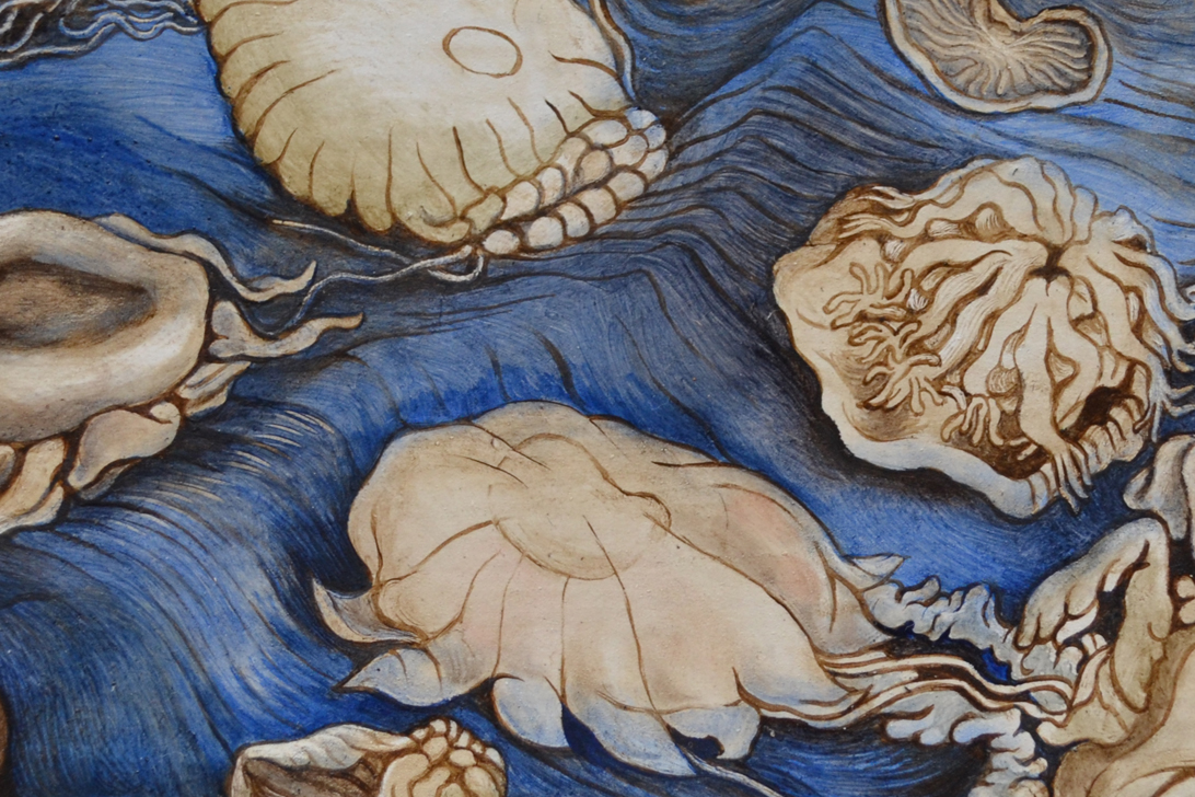 Jellyfish Carpet (detail)