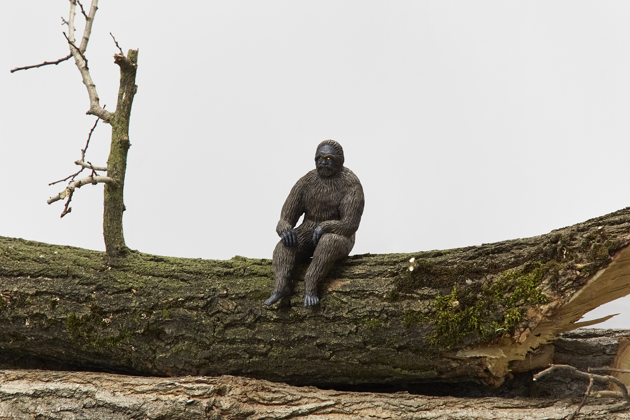 Wood Ape, 2022. (Detail)